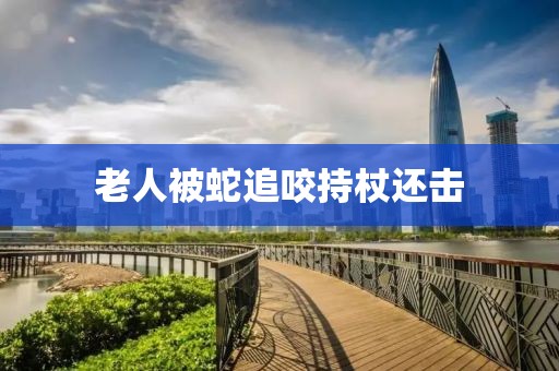 老人被蛇追咬持杖还击
