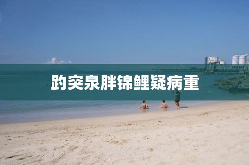 趵突泉胖锦鲤疑病重