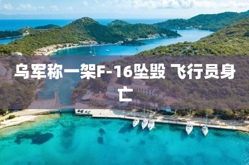 乌军称一架F-16坠毁 飞行员身亡