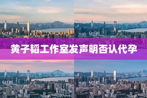 黄子韬工作室发声明否认代孕