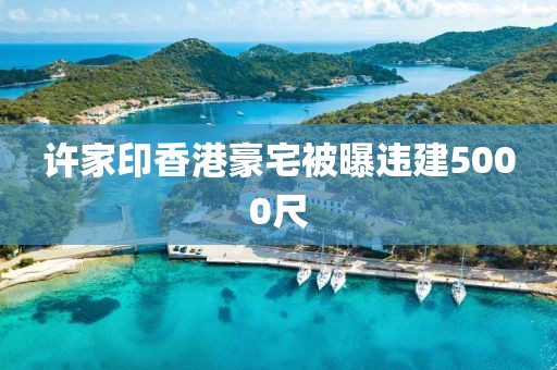 许家印香港豪宅被曝违建5000尺