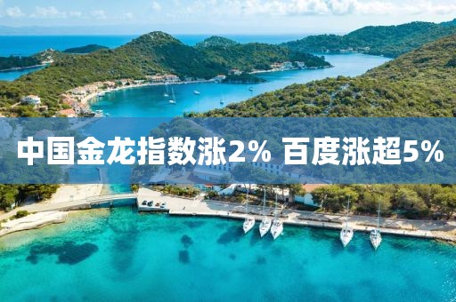 中国金龙指数涨2% 百度涨超5%