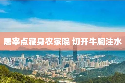 屠宰点藏身农家院 切开牛胸注水