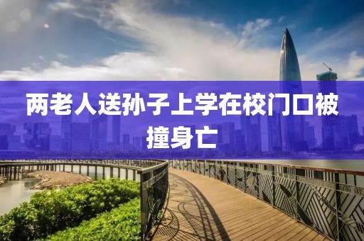 两老人送孙子上学在校门口被撞身亡