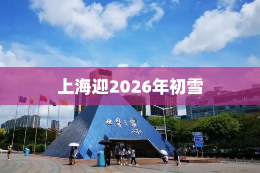 上海迎2026年初雪