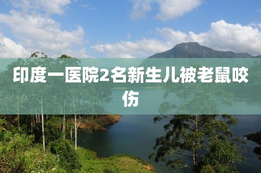 印度一医院2名新生儿被老鼠咬伤