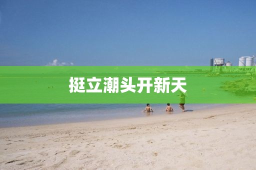 挺立潮头开新天