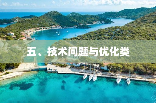 五、技术问题与优化类