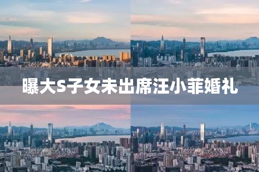 曝大S子女未出席汪小菲婚礼