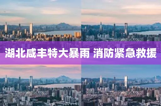 湖北咸丰特大暴雨 消防紧急救援