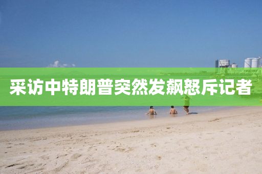 采访中特朗普突然发飙怒斥记者