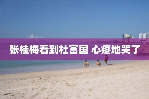 张桂梅看到杜富国 心疼地哭了