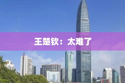 王楚钦：太难了