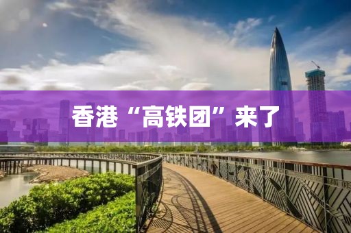 香港“高铁团”来了