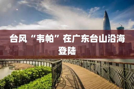 台风“韦帕”在广东台山沿海登陆