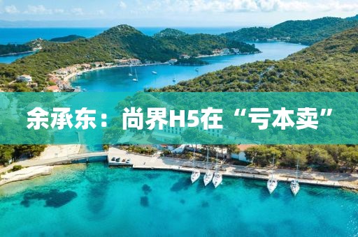余承东：尚界H5在“亏本卖”