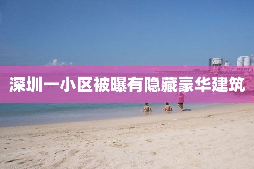 深圳一小区被曝有隐藏豪华建筑
