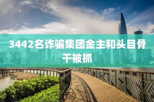 3442名诈骗集团金主和头目骨干被抓