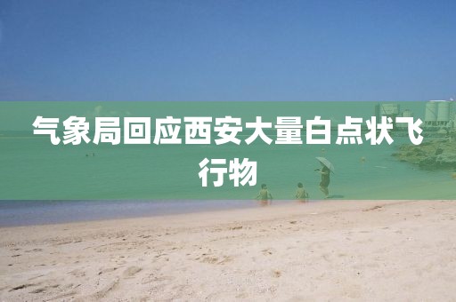 气象局回应西安大量白点状飞行物