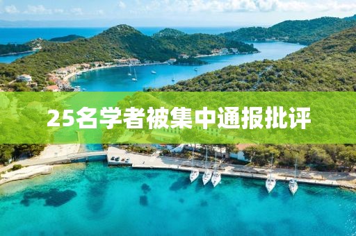 25名学者被集中通报批评