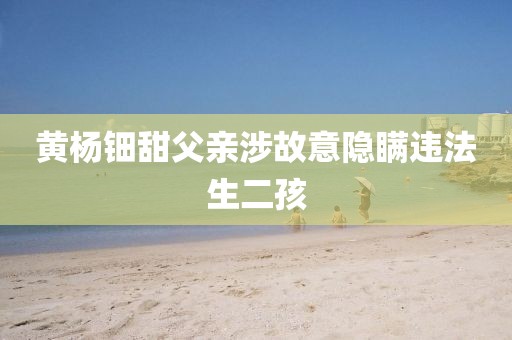黄杨钿甜父亲涉故意隐瞒违法生二孩