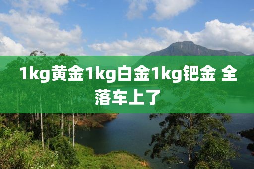 1kg黄金1kg白金1kg钯金 全落车上了