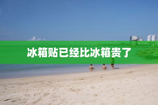 冰箱贴已经比冰箱贵了