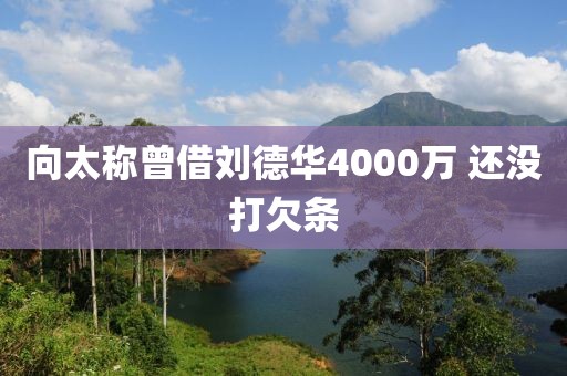 向太称曾借刘德华4000万 还没打欠条