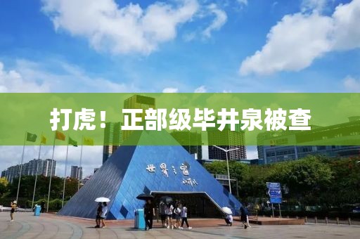 打虎！正部级毕井泉被查