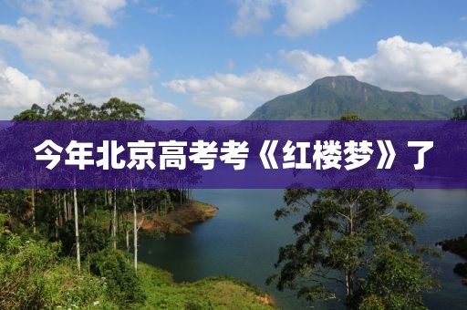今年北京高考考《红楼梦》了