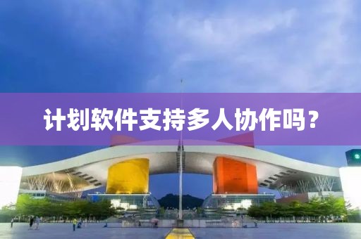 计划软件支持多人协作吗？