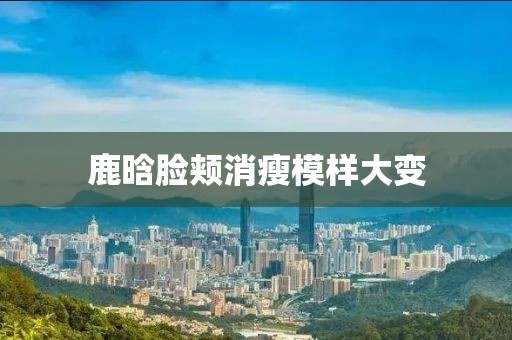鹿晗脸颊消瘦模样大变