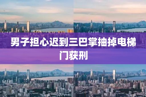 男子担心迟到三巴掌抽掉电梯门获刑