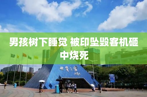 男孩树下睡觉 被印坠毁客机砸中烧死 男孩树下睡觉 被印坠毁客机砸中烧死
