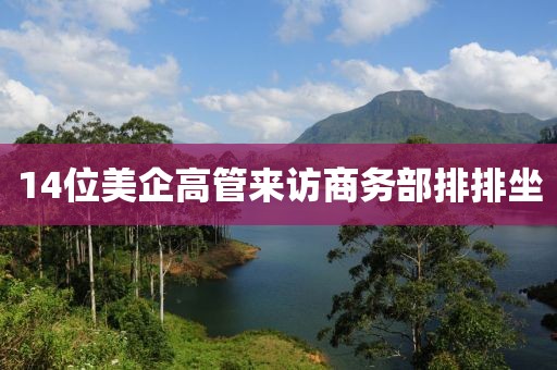 14位美企高管来访商务部排排坐