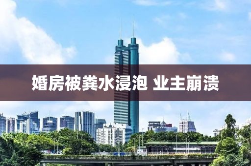 婚房被粪水浸泡 业主崩溃