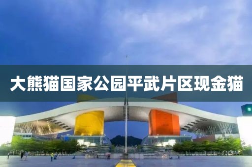 大熊猫国家公园平武片区现金猫