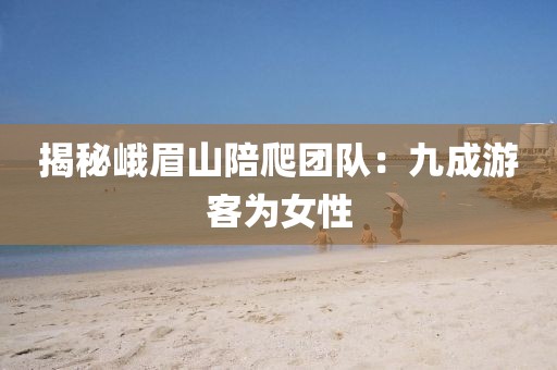 揭秘峨眉山陪爬团队:九成游客为女性