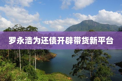 罗永浩为还债开辟带货新平台