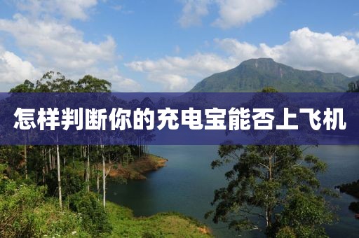怎样判断你的充电宝能否上飞机