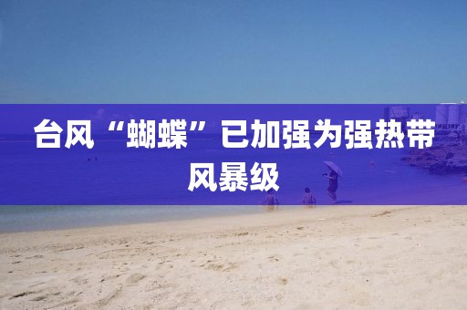 台风“蝴蝶”已加强为强热带风暴级