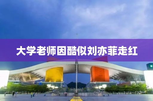 大学老师因酷似刘亦菲走红