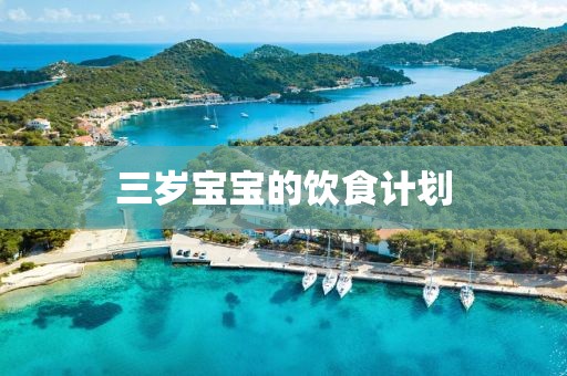 人民日报：如何看待“负电价”