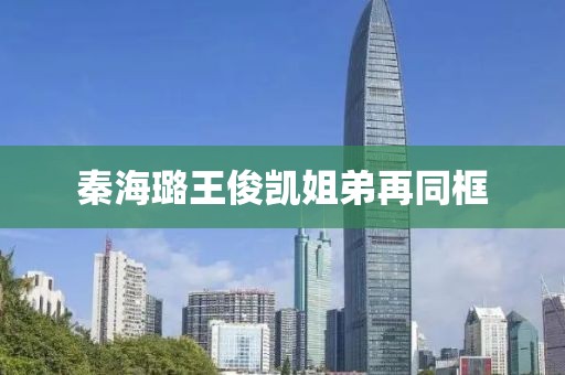 秦海璐王俊凯姐弟再同框