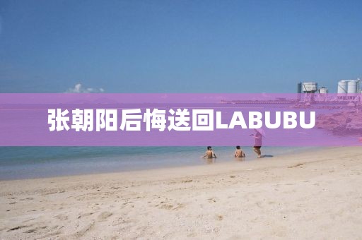 张朝阳后悔送回LABUBU
