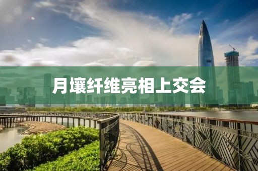 月壤纤维亮相上交会 月壤纤维亮相上交会