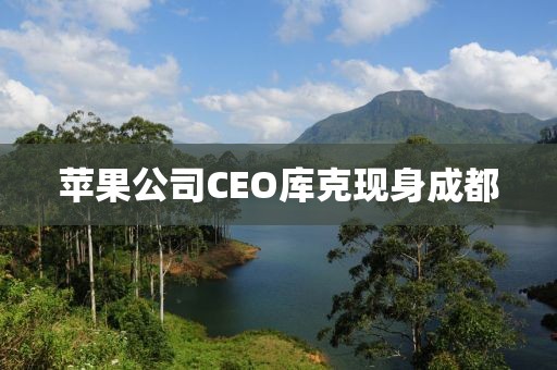 苹果公司CEO库克现身成都
