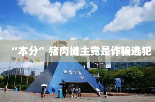 “本分”猪肉摊主竟是诈骗逃犯