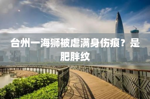 台州一海狮被虐满身伤痕?是肥胖纹 台州一海狮被虐满身伤痕?是肥胖纹