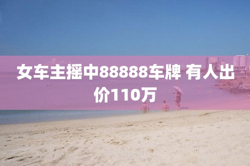 女车主摇中88888车牌 有人出价110万